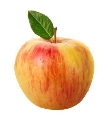 Honeycrisp Apple 